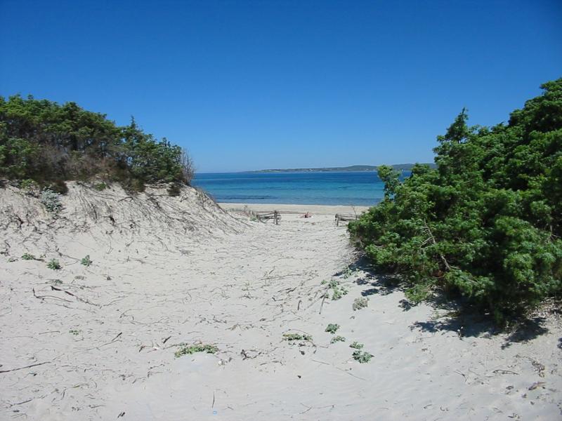 calasetta- sardegna - direttamente sulla 